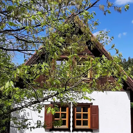 Siedlisko Mazurskie Kolo Mikolajek Zelwagi Exterior photo