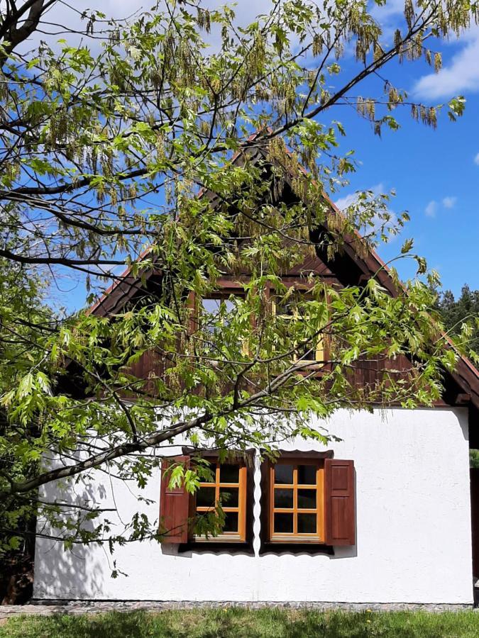 Siedlisko Mazurskie Kolo Mikolajek Holiday home *