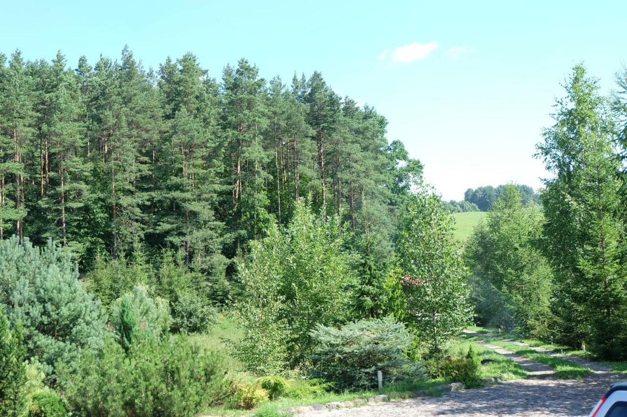 Siedlisko Mazurskie Kolo Mikolajek Holiday home *