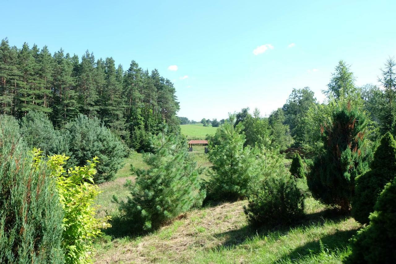 Siedlisko Mazurskie Kolo Mikolajek